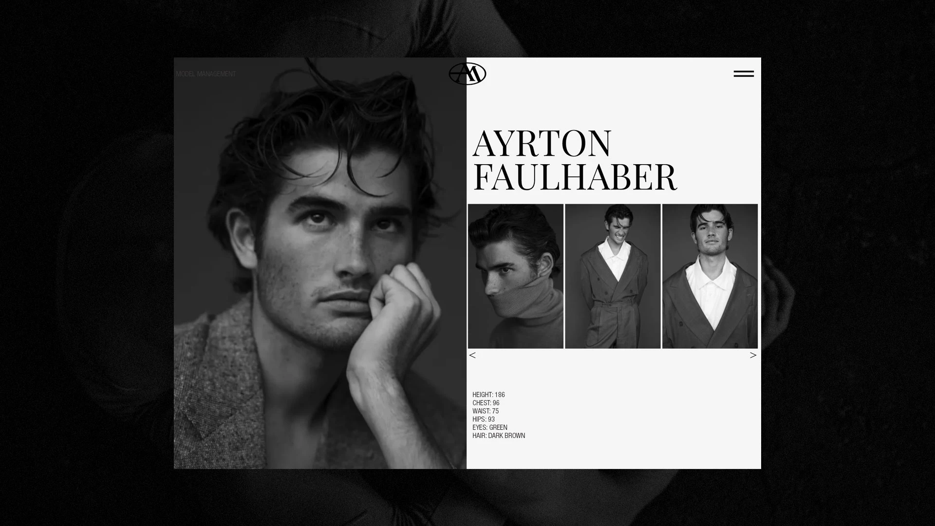 Archetype Model Management